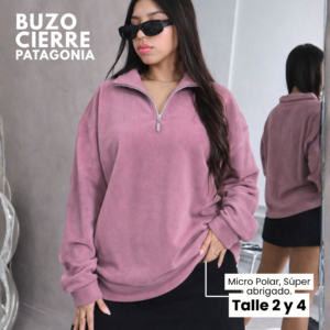 Buzo Over Patagonia Micropolar