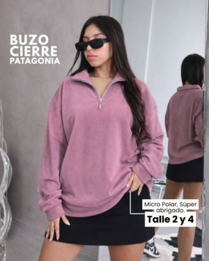Buzo Over Patagonia Micropolar